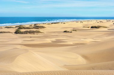 Kum tepeleri sahil üzerinde 