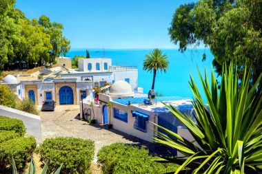Sahil beldesi Sidi Bou Said görünümünü. Tunus, Kuzey Afrika