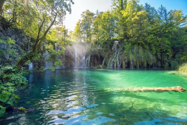 Turkuaz Gölü ile güzel şelale Plitvice Milli Parkı'nda. Hırvatistan     