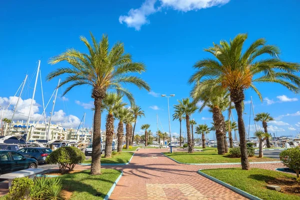 Porto Marina palmiye ağaçları ile denize sıfır. Benalmadena, Malaga Eyaleti, Costa del Sol, Endülüs, İspanya            