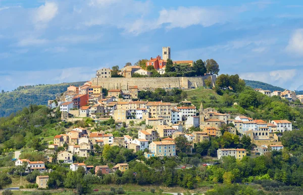 Weergave Van Beroemde Oude Stadje Motovun Schilderachtige Heuvel Istrië Kroatië — Stockfoto