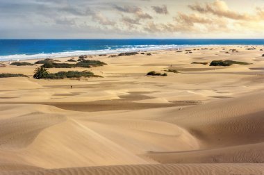 Ünlü doğal Maspalomas Beach kumulları. Gran Canaria, Kanarya Adaları, İspanya