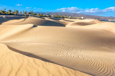Ünlü doğal Maspalomas Beach kumulları. Gran Canaria, Kanarya Adaları, İspanya