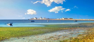 Panoramic landscape with bay and view of tunisian fishing village. Tunisia, North Africa clipart
