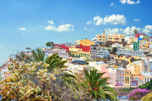 Oude Bovenstad Met Kleurrijke Huizen Hoofdstad Stad Van Las Palmas — Stockfoto