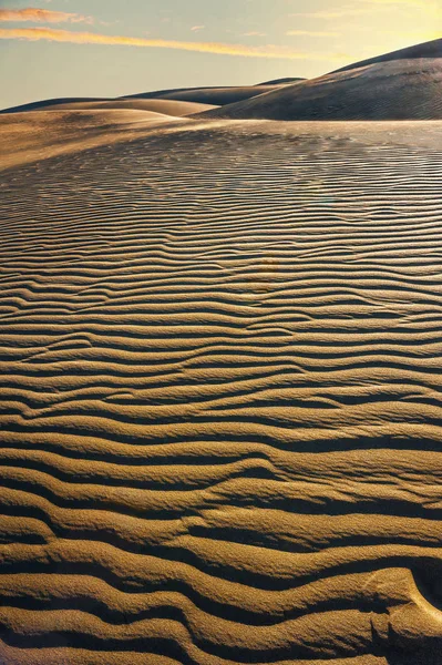 Sanddynor Berömda Naturliga Maspalomas Stranden Gran Canaria Kanarieöarna Spanien — Stockfoto