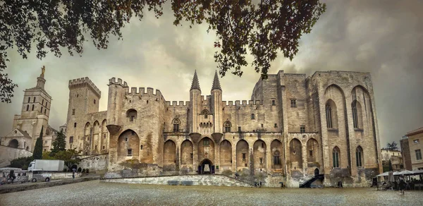 Fortezza Medievale Castello Palais Des Papes Avignone Francia Provenza — Foto Stock