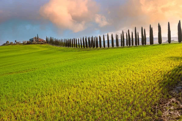 Paisaje Rural Con Cipreses Primavera Toscana Italia —  Fotos de Stock