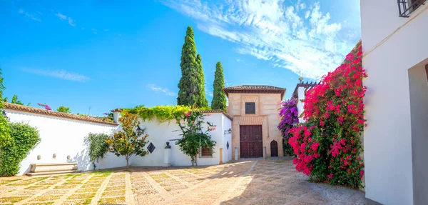 Pittoresk Uitzicht Typische Straat Binnenplaats Woonwijk Cordoba Andalusië Spanje — Stockfoto