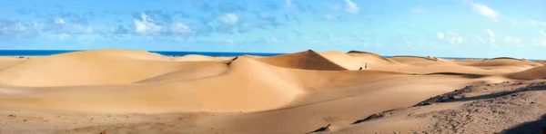 Wide Panoramic View Sand Dunes Famous Natural Beach Maspalomas Gran — Stock Photo, Image