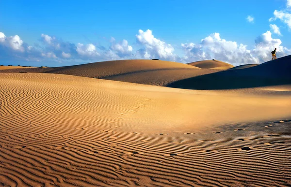 Dune Sabbia Nella Famosa Spiaggia Naturale Maspalomas Gran Canaria Isole — Foto Stock