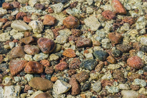 Şeffaf suda kayalık deniz yatağı