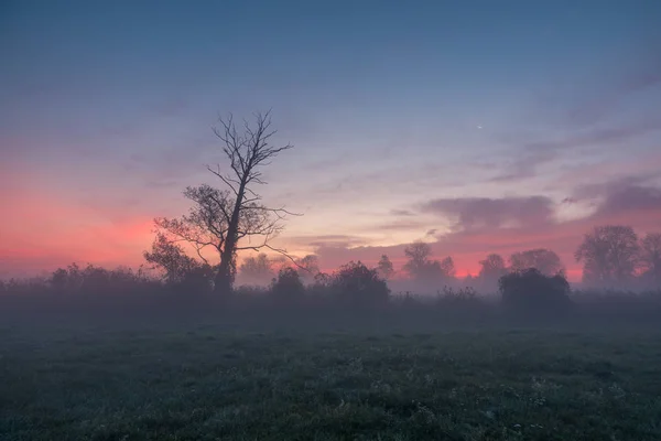 Amanecer en un día de niebla en el valle de Jeziorka cerca de Piaeczno, Polonia —  Fotos de Stock