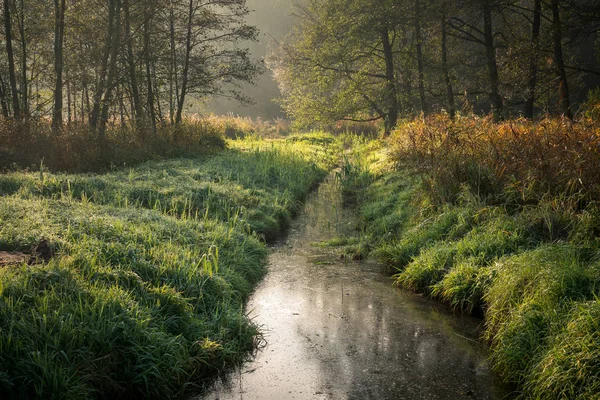 Konstancin-Jeziorna 'daki Mala Nehri, Mazowieckie, Polonya