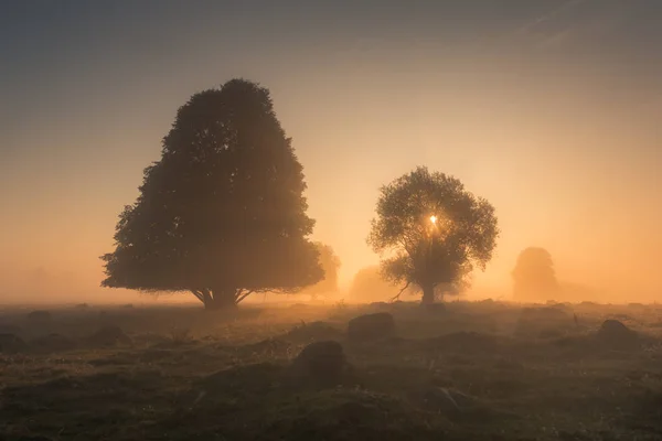 Nebliger Morgen im Naturschutzgebiet glazowisko rutka in Suwalski — Stockfoto