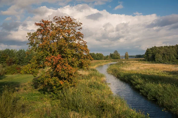 Río Sapina en otoño cerca de Wegorzewo, Masuria, Polonia — Foto de Stock