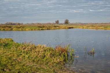 Bug nehrinin durgun suları Kuligow, Masovia, Polonya yakınlarında