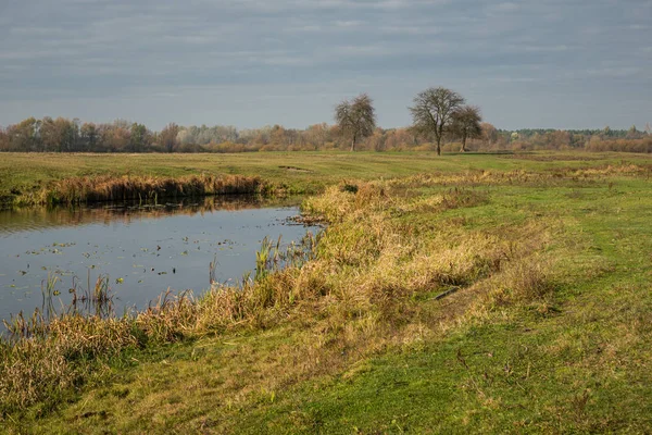 Rückstau der Flusswanze in der Nähe von kuligow, masovia, Polen — Stockfoto