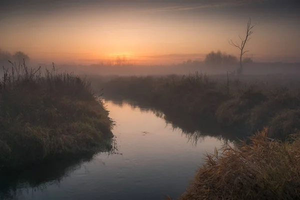 Lever de soleil par une matinée brumeuse dans la vallée de Jeziorka près de Piaseczno — Photo