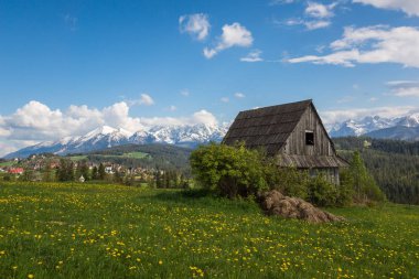 Gliczarow Gorny 'den ilkbaharda karlı Tatra dağları manzarası