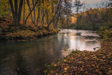 Sonbaharda Kolbiel, Masovia yakınlarındaki eski Weir 'in yanında daha kurak bir nehir var.