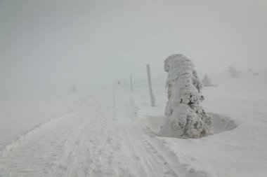 Polonya 'daki Dev Dağlar' da kış yürüyüşü sırasında patika
