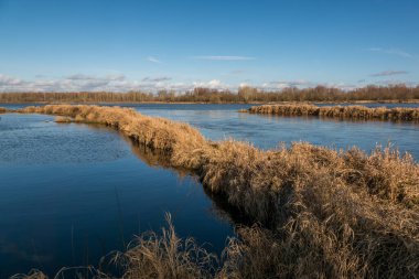 Polonya, Mniszew yakınlarında güneşli bir günde Vistula nehri.