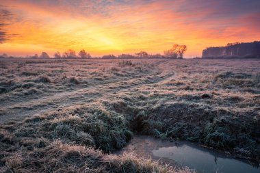 Oborskie Meadows, Konstancin Jez 'de soğuk bir sabah boyunca yol