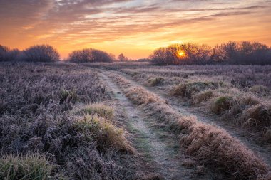 Oborskie Meadows, Konstancin Jez 'de soğuk bir sabah boyunca yol