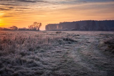 Oborskie Meadows, Konstancin Jez 'de soğuk bir sabah boyunca yol