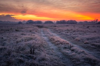 Oborskie Meadows, Konstancin Jez 'de soğuk bir sabah boyunca yol