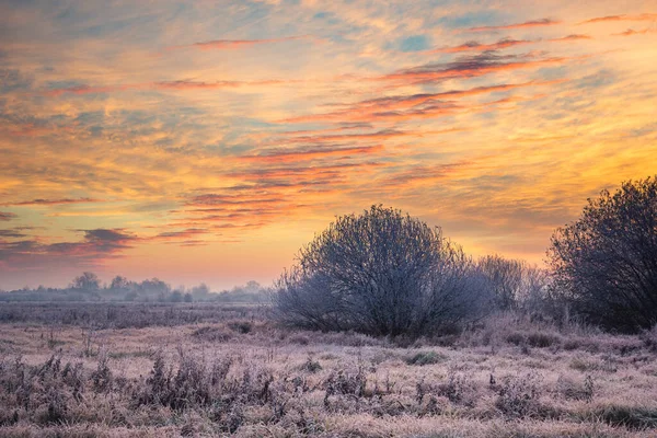 Hoarfrost στο λιβάδι στο Oborskie Meadows, Konstancin Jeziorna — Φωτογραφία Αρχείου