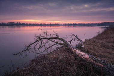 Polonya, Gora Kalwaria yakınlarındaki Vistula nehrinin üzerinde şafak vakti