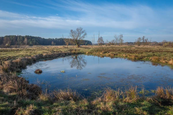 Mañana en el prado en el valle de Jeziorka cerca de Piaseczno, Polonia —  Fotos de Stock