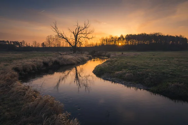 Nascer do sol sobre o rio, Piaseczno, Polónia — Fotografia de Stock