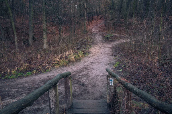 Path in the woods in Zalesie Gorne near Piaseczno, Poland