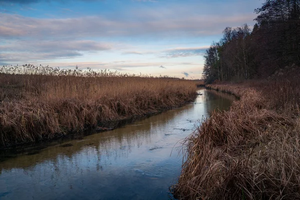 Rio Czarna em Zalesie Gorne perto de Piaseczno, Polónia — Fotografia de Stock