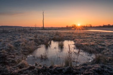 Przybyszew, Masovia, Polonya yakınlarındaki Pilica durgun sularında gün doğumu