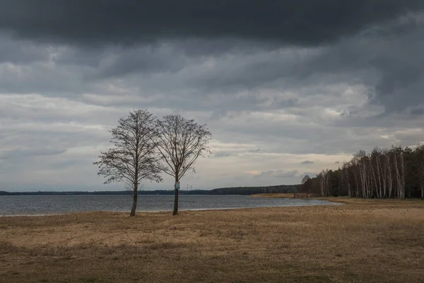 Sulejowskie See Bei Bewölktem Tag Der Nähe Von Tomaszow Mazowiecki — Stockfoto