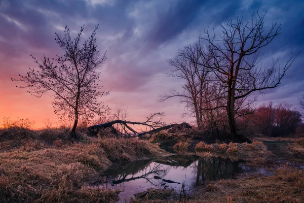 波兰Konstancin Jeziorna附近Vistula美丽的日出 — 图库照片