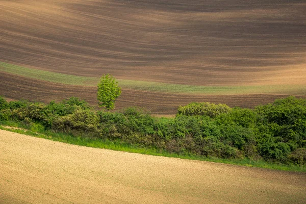 捷克共和国霍多宁Karlin村附近的Moravian油田 — 图库照片
