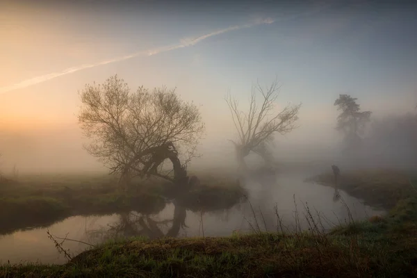 Ομιχλώδης Πρωί Πάνω Από Τον Ποταμό Jeziorka Κοντά Στο Piaseczno — Φωτογραφία Αρχείου