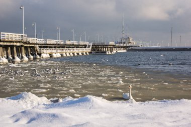 Kışın Baltık Denizi 'ndeki iskele Sopot, Pomorskie, Polonya