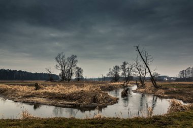 Polonya 'da bir yerlerde ağaçlar ve Jeziorka nehri olan bahar manzarası