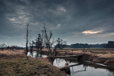 Polonya 'da bir yerlerde ağaçlar ve Jeziorka nehri olan bahar manzarası