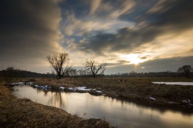 Jeziorka nehrinde gün batımı, yalnız ağaçlar ve güzel bulutlar.