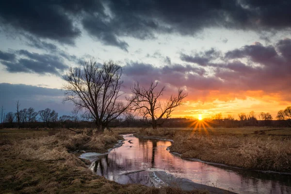 Sonnenuntergang Über Dem Fluss Jeziorka Und Bäumen Irgendwo Masovia Polen — Stockfoto