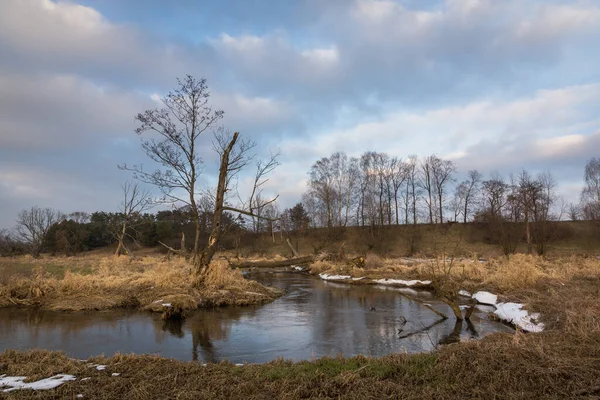 Jeziorka河和云彩上的孤零零的树木的风景 — 图库照片