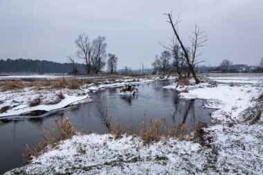 Polonya, Masovia 'daki Bogatki köyü yakınlarındaki Jeziorka nehri ile kış manzarası