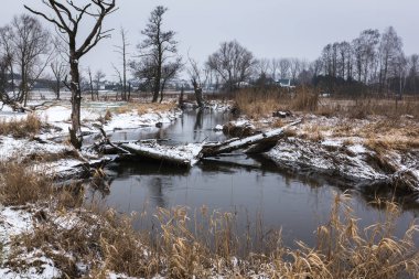 Polonya, Masovia 'daki Bogatki köyü yakınlarındaki Jeziorka nehri ile kış manzarası
